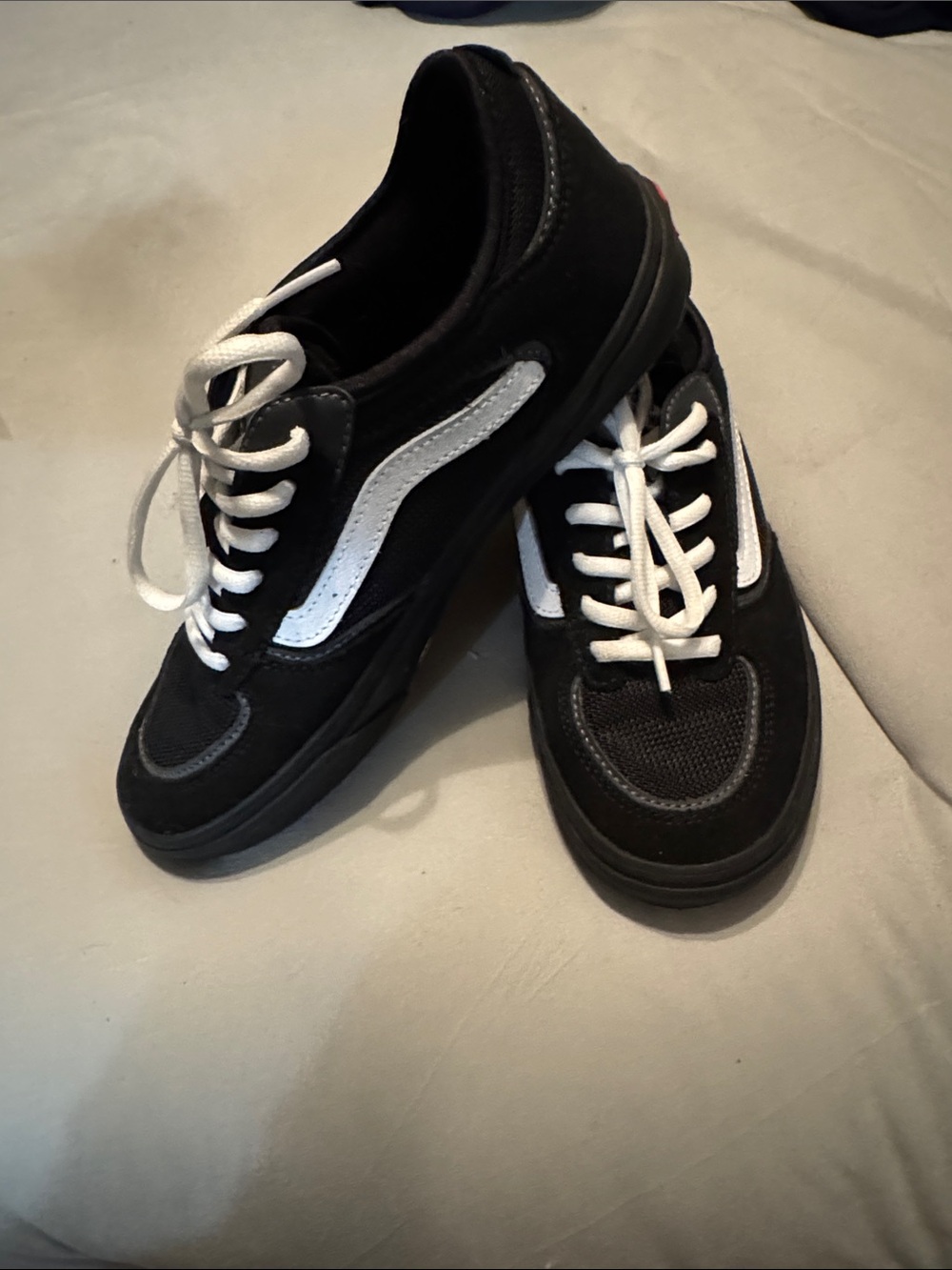 Vans Rowley Black Low-Top Sneakers with White Stripe